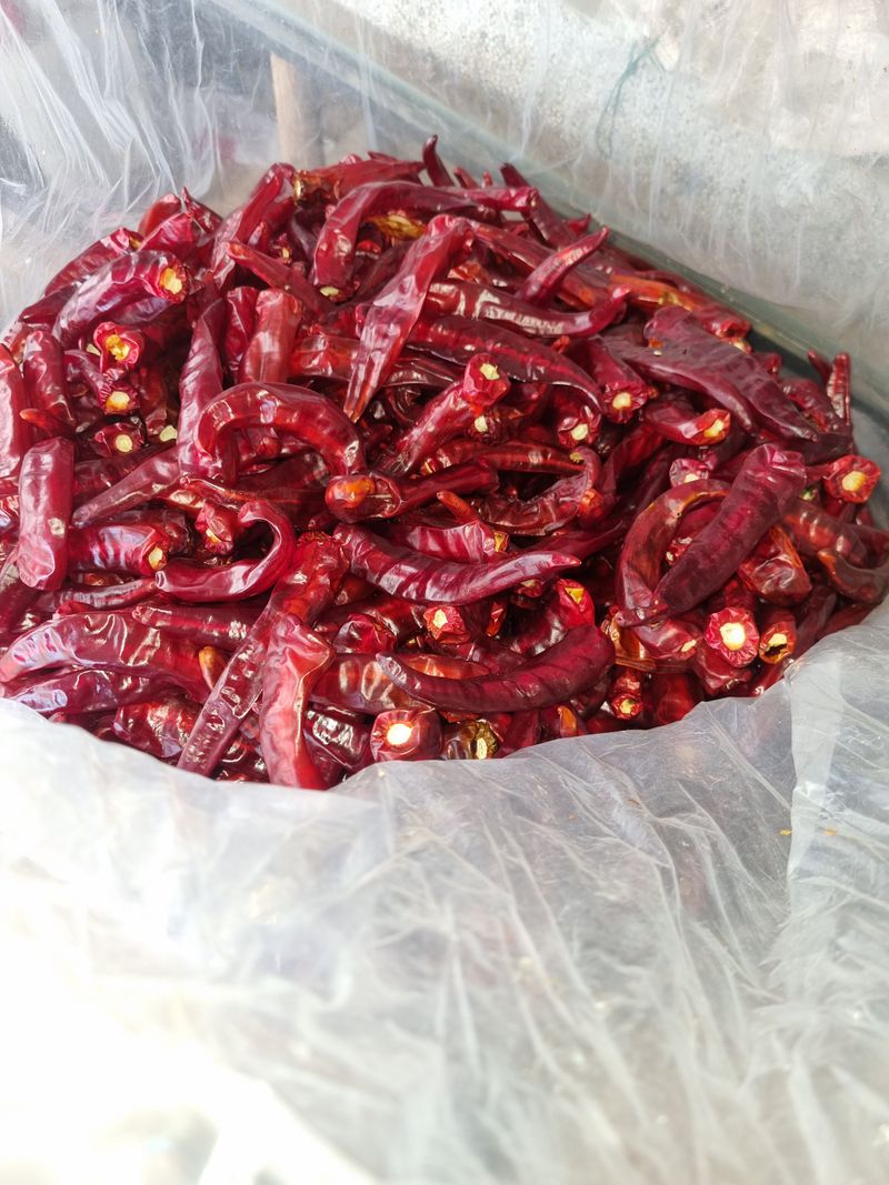 준영님의 장터 판매 상품 [고추가루1kg] 첨부 사진