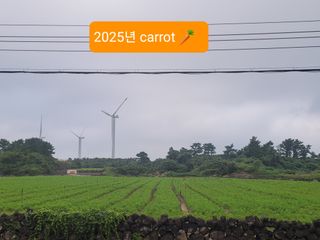 한경훈님의 자유주제 · 자유게시판 작성글 사진