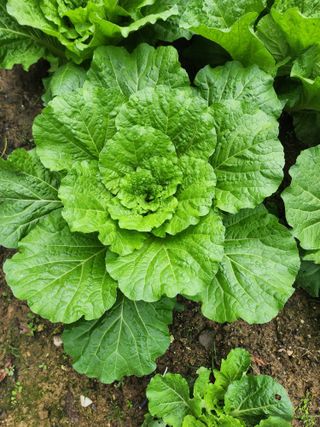 조정권님의 자유주제 · 자유게시판 작성글 사진