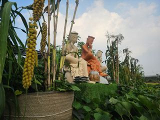 양철주님의 자유주제 · 자유게시판 작성글 사진