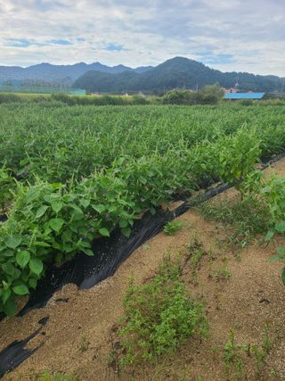 전재문님의 작성글 사진