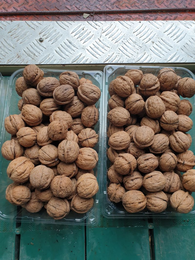 장터 상품 [국산 무농약. 햇호두. 판매합니다 고소하고. 맛있어요] 썸네일