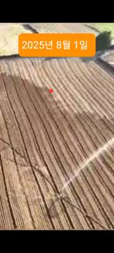 팜모닝 자유주제·자유게시판 게시글 이미지