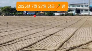 한경훈님의 자유주제 · 자유게시판 작성글 사진