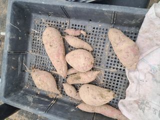 전희분님의 자유주제 · 자유게시판 작성글 사진