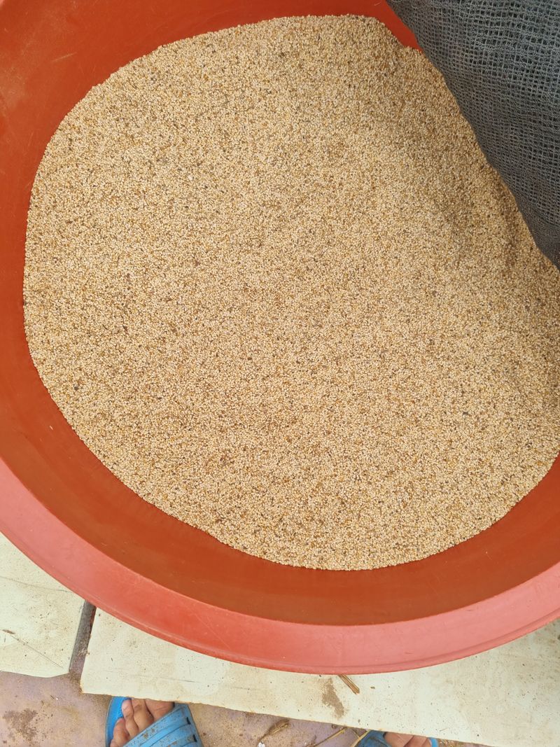 장터 상품 [참깨1kg] 썸네일