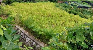 전재문님의 작성글 사진