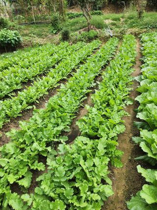 조정권님의 자유주제 · 자유게시판 작성글 사진