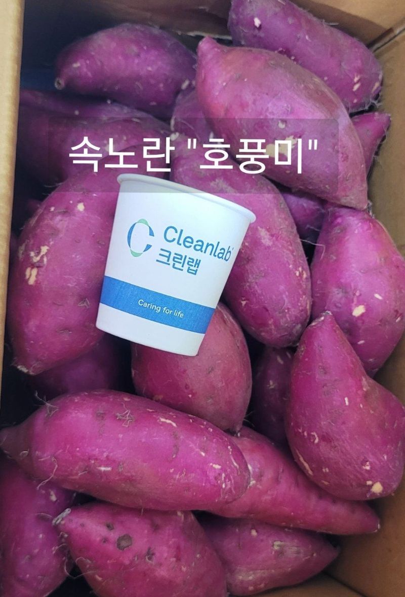 사랑꽃농장님의 장터 판매 상품 [맛좋은 이찌 하루까 10kg] 첨부 사진