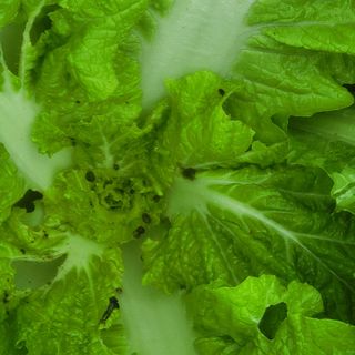 이창화님의 자유주제 · 자유게시판 작성글 사진