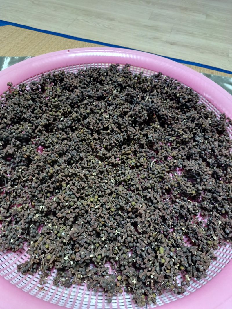 장터 상품 [헛개나무열1키로] 썸네일