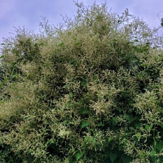 이창화님의 자유주제 · 자유게시판 작성글 사진