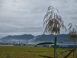 양철주님의 자유주제 · 자유게시판 작성글 사진