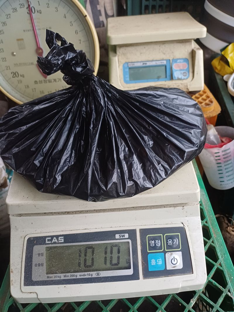 전원수님의 장터 판매 상품 [통마늘(도야마늘)] 첨부 사진