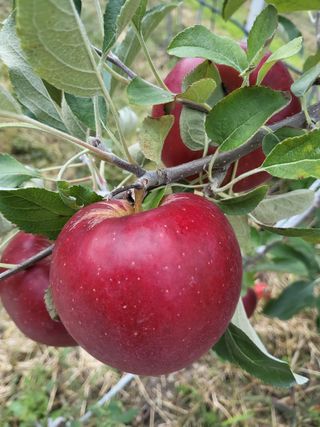 최용환 님의 자유주제 · 자유게시판 작성글 사진