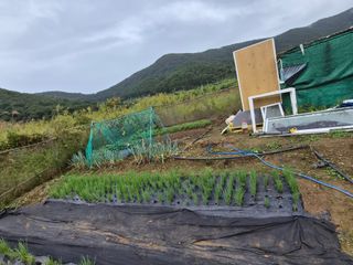 김형준님의 자유주제 · 자유게시판 작성글 사진