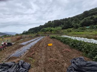 김형준님의 자유주제 · 자유게시판 작성글 사진