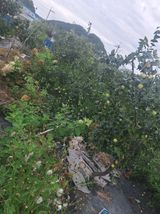 팜모닝 자유주제·자유게시판 게시글 이미지