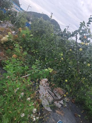 전희분님의 자유주제 · 자유게시판 작성글 사진