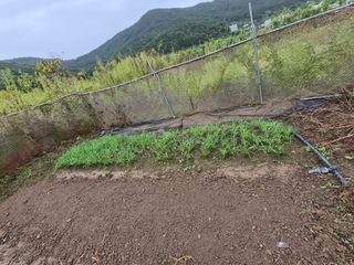 김형준님의 자유주제 · 자유게시판 작성글 사진