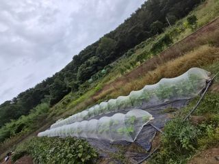 김형준님의 자유주제 · 자유게시판 작성글 사진