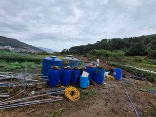 김형준님의 자유주제 · 자유게시판 작성글 사진