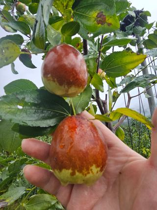 천승준님의 작성글 사진