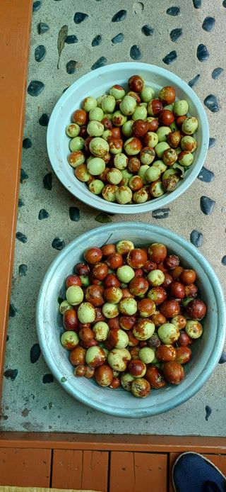 이강재님의 자유주제 · 자유게시판 작성글 사진