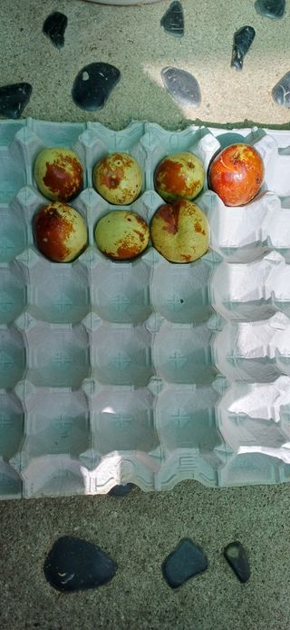 이강재님의 자유주제 · 자유게시판 작성글 사진