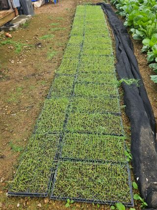 김기만님의 자유주제 · 자유게시판 작성글 사진