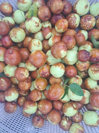 전희분님의 자유주제 · 자유게시판 작성글 사진