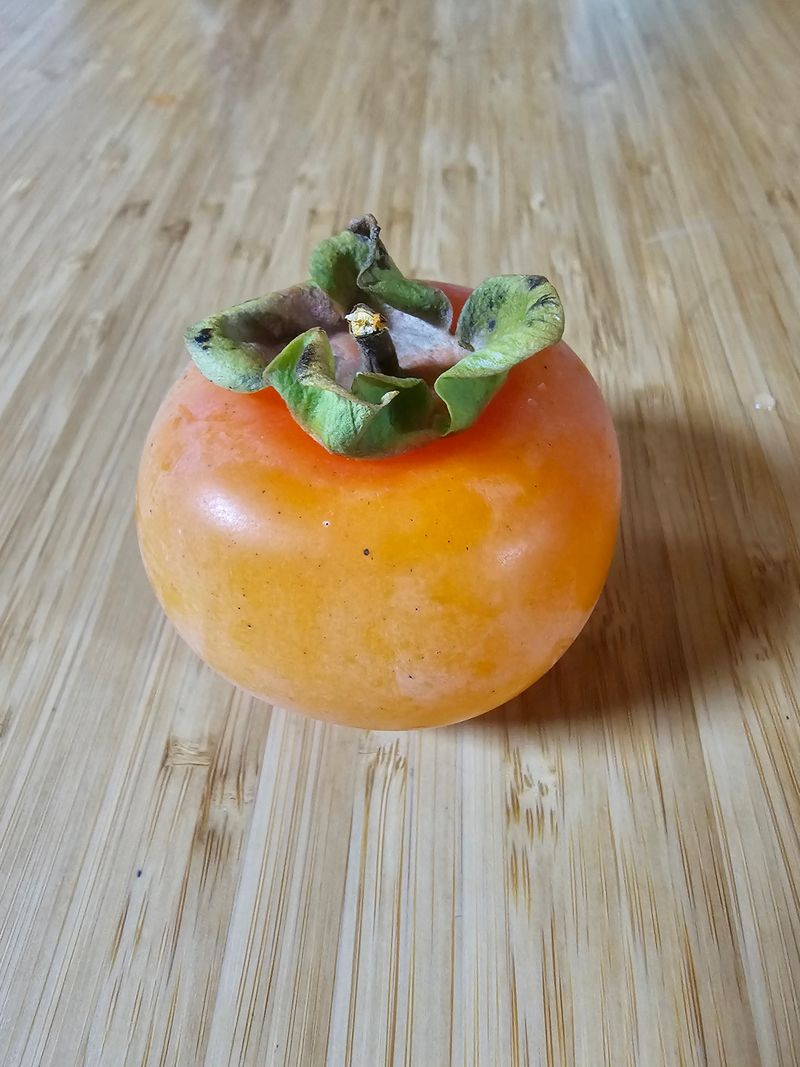 천승준님의 장터 판매 상품 [반시(홍시감) 5kg] 첨부 사진