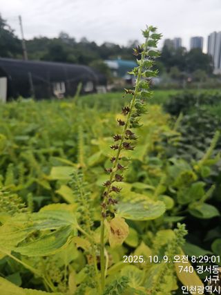 문서연님의 자유주제 · 자유게시판 작성글 사진