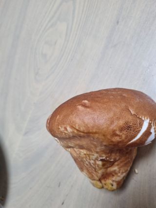 호박7851님의 자유주제 · 자유게시판 작성글 사진