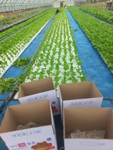 팜모닝 자유주제·자유게시판 게시글 이미지