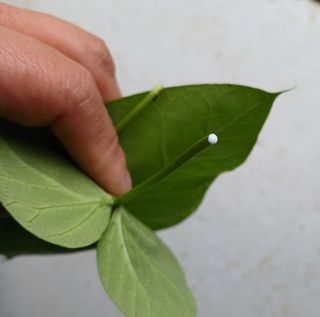 산성골농장님의 자유주제 · 자유게시판 작성글 사진