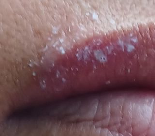 산성골농장님의 자유주제 · 자유게시판 작성글 사진