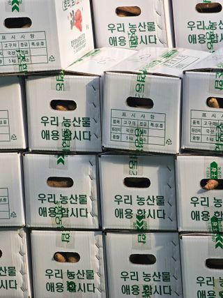 양철주님의 자유주제 · 자유게시판 작성글 사진