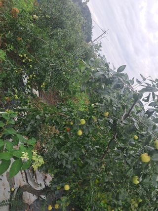 전희분님의 자유주제 · 자유게시판 작성글 사진