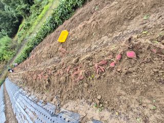 김형준님의 자유주제 · 자유게시판 작성글 사진