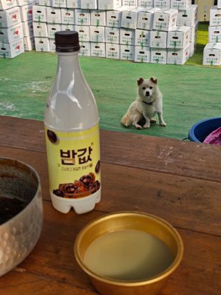 양철주님의 자유주제 · 자유게시판 작성글 사진