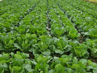 김기만님의 자유주제 · 자유게시판 작성글 사진