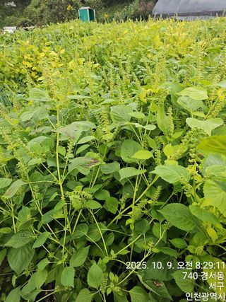 문서연님의 자유주제 · 자유게시판 작성글 사진