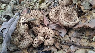 월굴리이승재님의 자유주제 · 자유게시판 작성글 사진