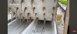 감15576님의 자유주제 · 자유게시판 작성글 사진