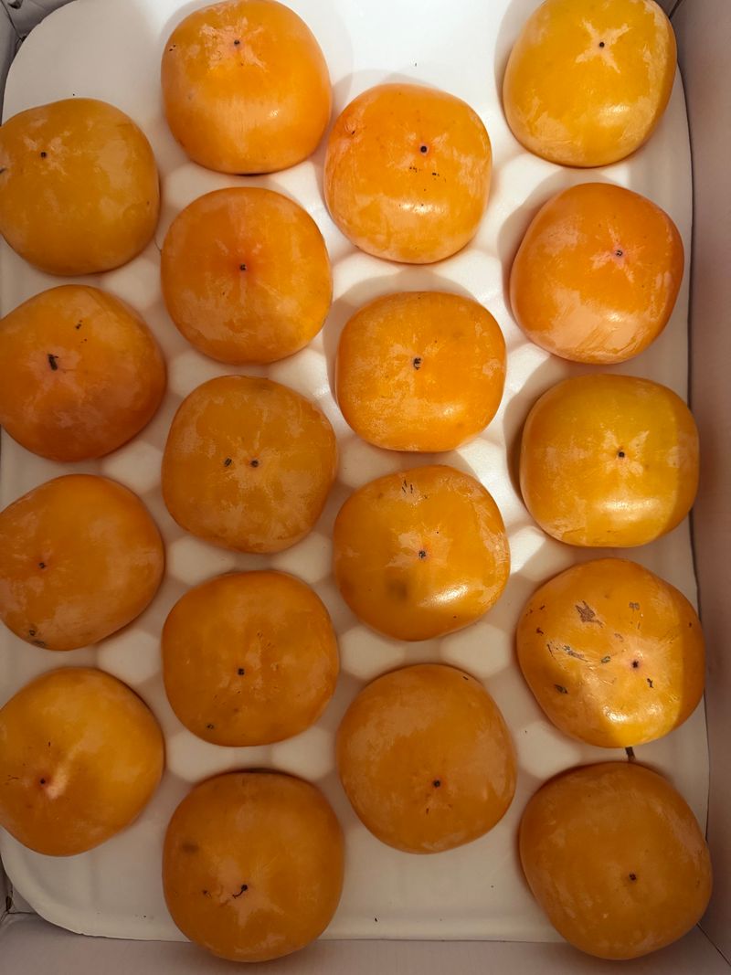 천승준님의 장터 판매 상품 [반시(홍시감) 5kg] 첨부 사진