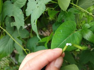 산성골농장님의 자유주제 · 자유게시판 작성글 사진