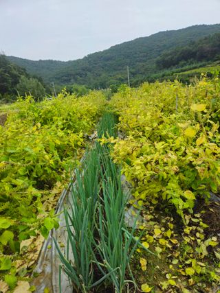 이무기님의 자유주제 · 자유게시판 작성글 사진