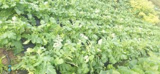 김영문님의 자유주제 · 자유게시판 작성글 사진