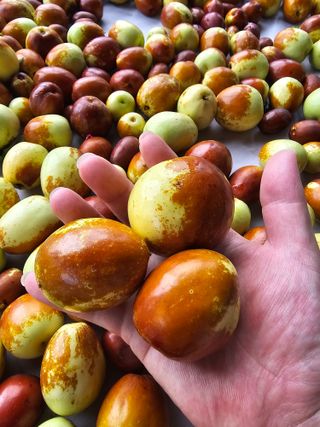 천승준님의 작성글 사진